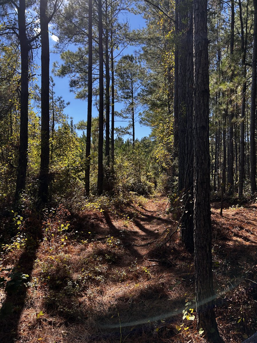 terubites's tweet photo. about to re-enact this in the woods with my brother ^^ https://t.co/9PEm5we7Uj