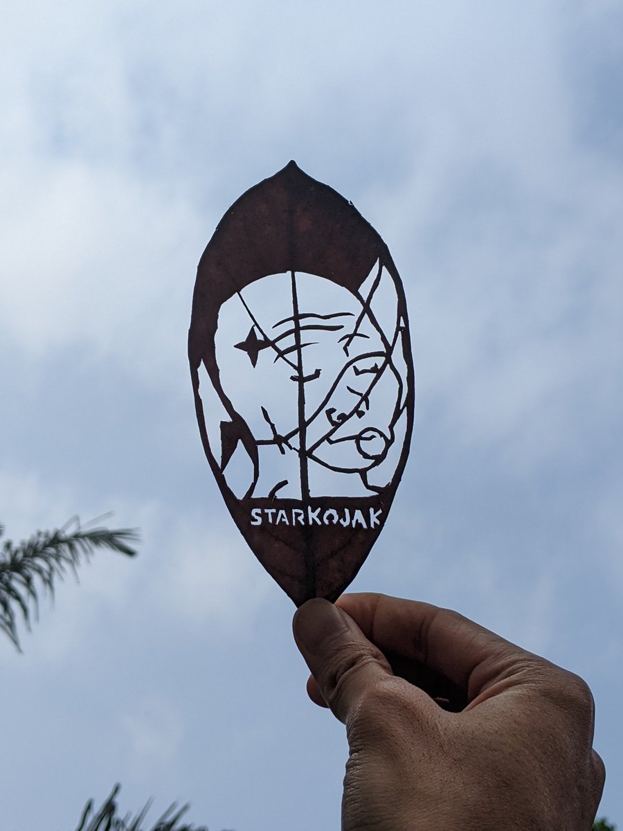 Ronnybeza's tweet photo. @Starkojak My meme leaf @Starkojak , in more than 2 hours to make

#StarkojakContest https://t.co/RRP0xsSenh