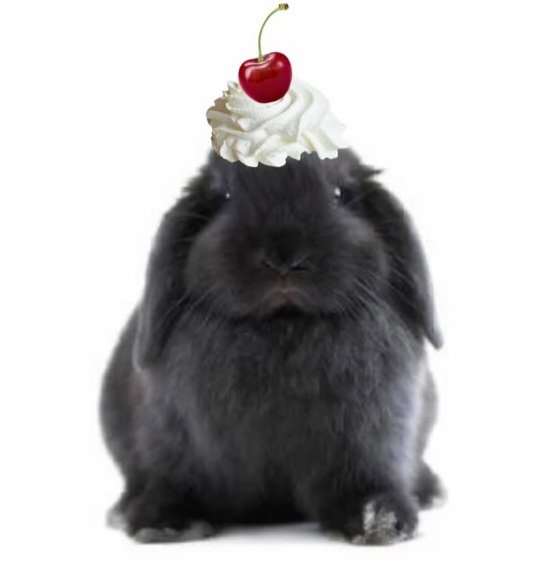 sweetangelette's tweet photo. https://t.co/UqwLGeWtj9