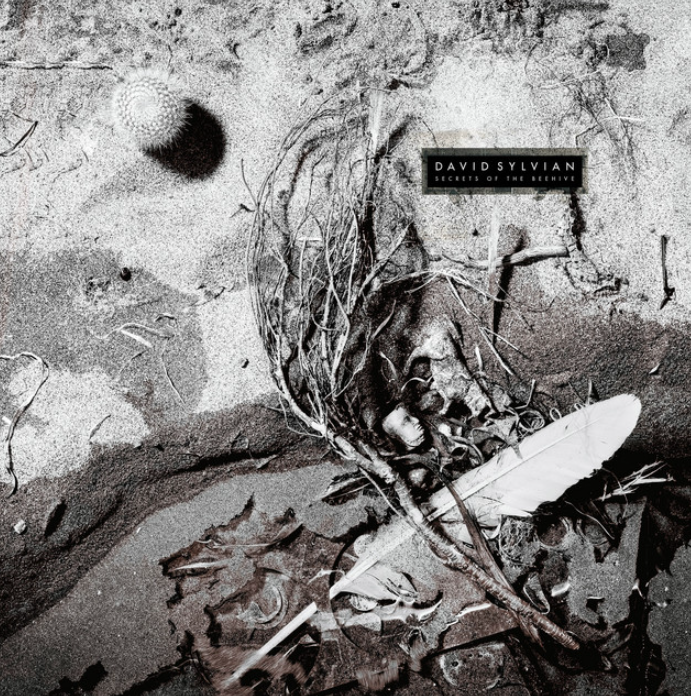 JacoFan52306's tweet photo. 🇮🇹
My music pill
Day : 13/10/2026
DAVID SYLVIAN "Secrets of the Beehive"
(Nov. 7, 1987 👉 Remastered 2003)
.
The ex JAPAN frontman
.
#DavidSylvian
#SteveJansen
#DavidTorn
#RyūichiSakamoto
#MarkIsham
#PhilPalmer
#DannyThompson
ex #JAPAN
.
🎵🎶👇
https://t.co/l9yA2EuDqg
. https://t.co/QknyyIDPbI