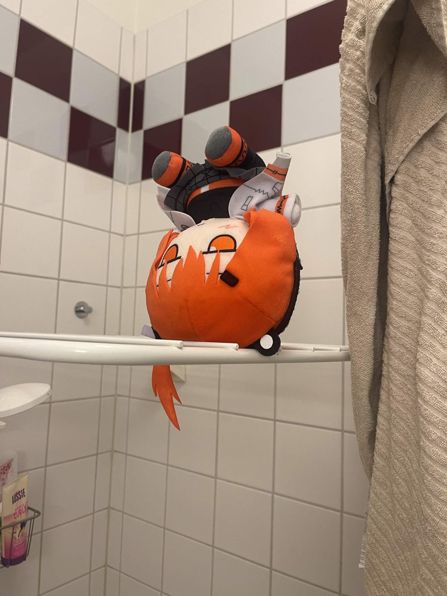 softblueish's tweet photo. Rei became a little dirt baby so I made sure to give her a bath, now she is on the drying rack upside down 😭🧡 https://t.co/orX3GSVWV1