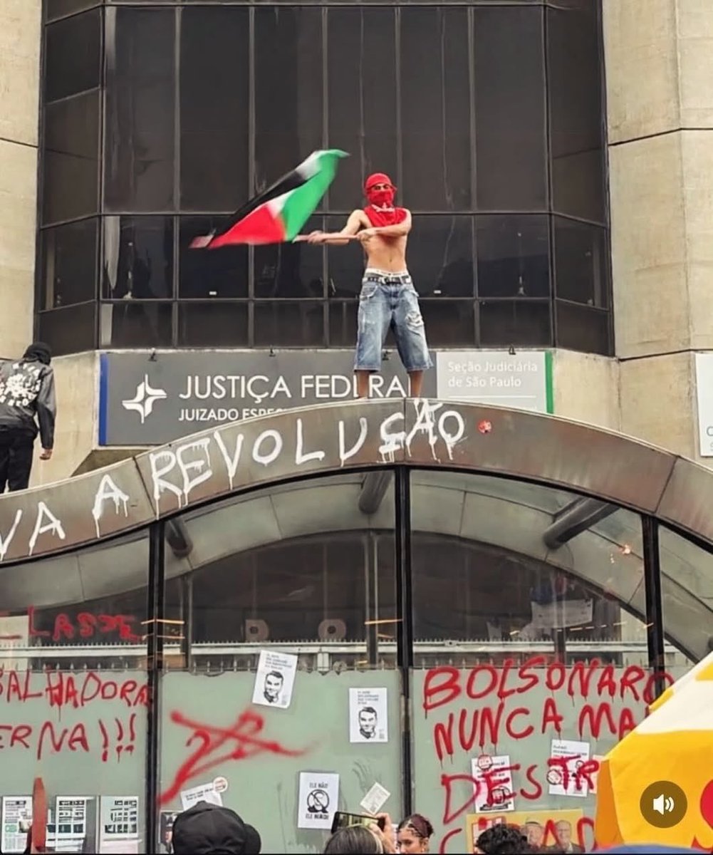 Paulo_89_89's tweet photo. @ToniSorocaba Escolha direita! Pq os que já está mais grandinho não deu muito certo não!!! https://t.co/FF3aIYoYbO