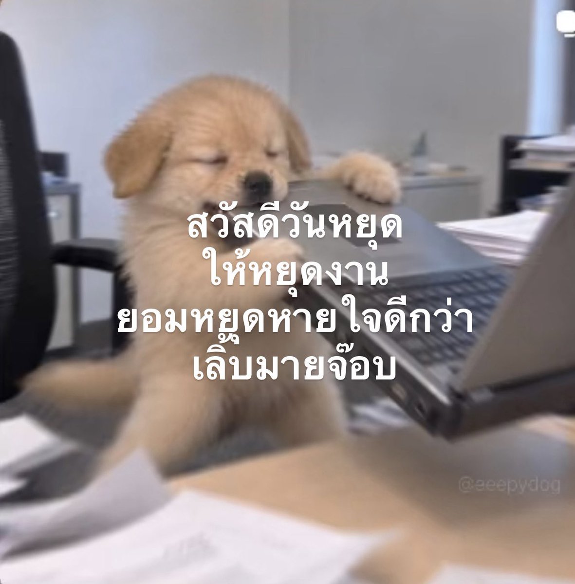 moo_moo0123's tweet photo. นี่กูอยากมาทำงานวันหยุดเหรอเนี่ย หมานิ่ง https://t.co/5g0zCPreoo