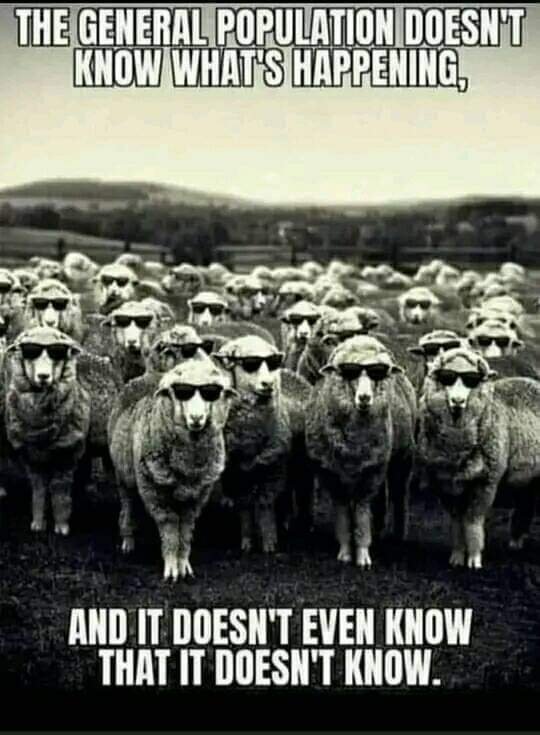 RodneyGrabow's tweet photo. @TrumpAccount47 https://t.co/R9Tv2kec1N