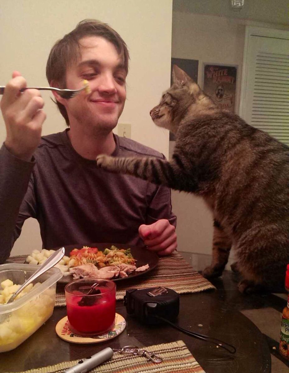 catoshirin's tweet photo. My favorite picture of troy. Very cute https://t.co/5PztFQoNX8