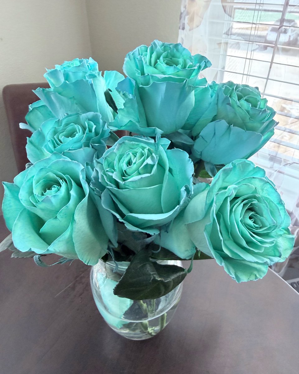 MsVictoriaAdi's tweet photo. Thank You .. My love language? 🩵

Roses, Effort, generosity, consistency .. and making my life ridiculously comfortable. 🩵

#spoiled https://t.co/zPfx6QMuT8