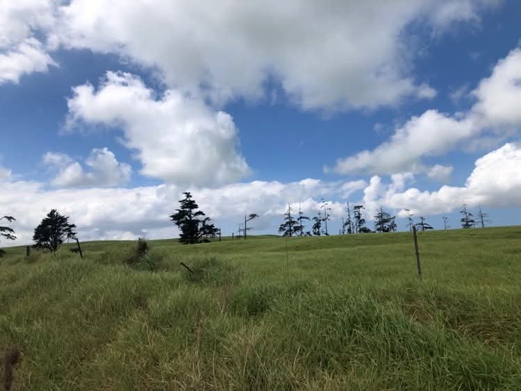 joe_ironman's tweet photo. Happy Indigenous People's Day, a quiet holiday up on the Ranch, looks like some weather is moving in...
#hawaii #bigisland
#xoskinusa
#hawaiiultra #teamfireball
Noxgear lighted vests for you and your pets! https://t.co/gMUYlIrtug https://t.co/RkXP5naTbm