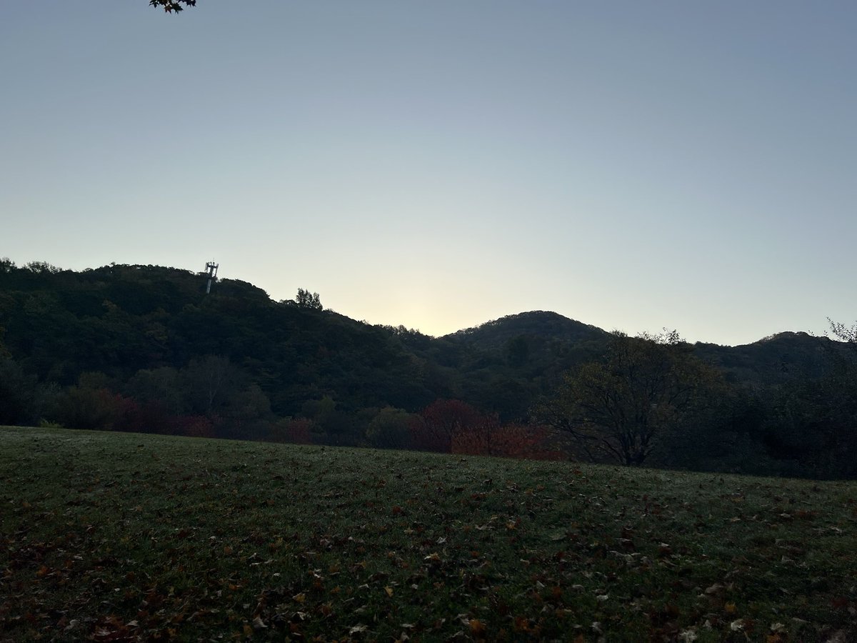 majorinko's tweet photo. 朝んぽ🐶🍁 https://t.co/gWHlzul08X