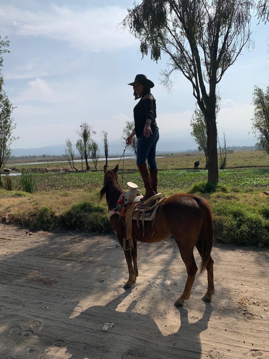 lunnelight's tweet photo. @mooncku Si, bueno los tenía, fueron los caballos de mi infancia, se llamaban Coqueta y Thor. Con ellos aprendí a motar y a hacer las suertes charras. Aunque, si tuviera que elegir a uno actual sería a una yegua llamada la michoacana. https://t.co/c7WepkNQFq