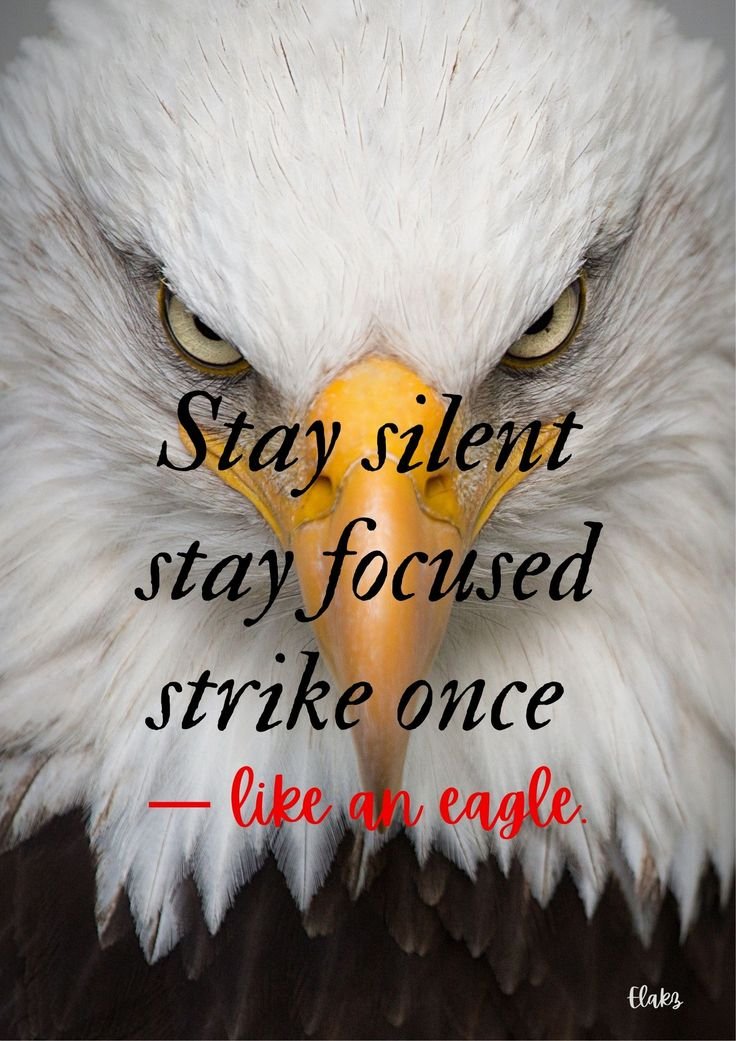 mcain1954's tweet photo. Monday #BuddyChecks10/12 ⭐️🪂⚓️🍈✈️🫡❤️
➡️@johnlon48652332⚓️🇺🇸
➡️@seabee_sw⚓️🇺🇸
➡️@resolutevet⚓️🇺🇸
➡️@Annalynn651213⚓️🇺🇸
➡️@dirtsailor74⚓️🇺🇸
➡️@FuckerDumb9991⚓️🇺🇲
➡️@RetiredUSNChief⚓️🇺🇲
➡️@ClubHallyu⚓️🇺🇲
➡️@ScottCCoe⚓️🇺🇲
➡️@Gibby6447895410⚓️🇺🇲
➡️@CaterW⚓️🇺🇲
➡️@Harry24054Me⚓️🇺🇲
➡️@owner_texas⚓️🇺🇲
➡️@nepeddler⚓️🇺🇲
➡️@BarryQue21536⚓️🇺🇲
➡️@TedSchlegelr1⚓️🇺🇸
➡️@gitarmanNM505⚓️🇺🇸