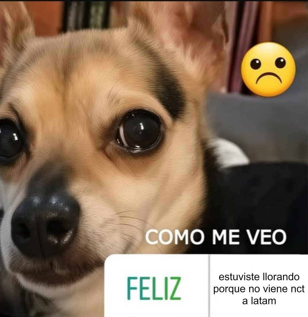 zerotutitos's tweet photo. https://t.co/cXOrn8SYnz