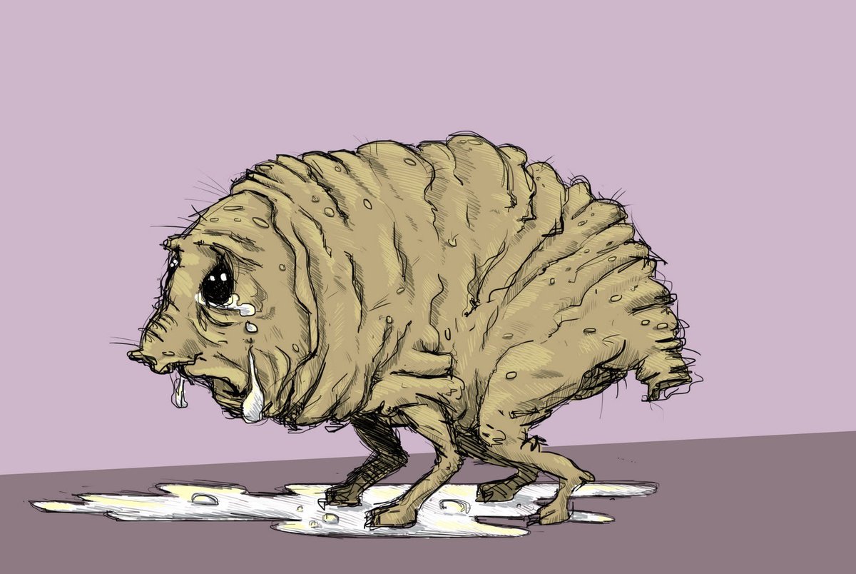 MissAntifreeze's tweet photo. @Send2Suki Next sub who stumbles my way is getting Squonked! Imma make them change their pfp to this and name to Squonk https://t.co/nZIXoWaNl3