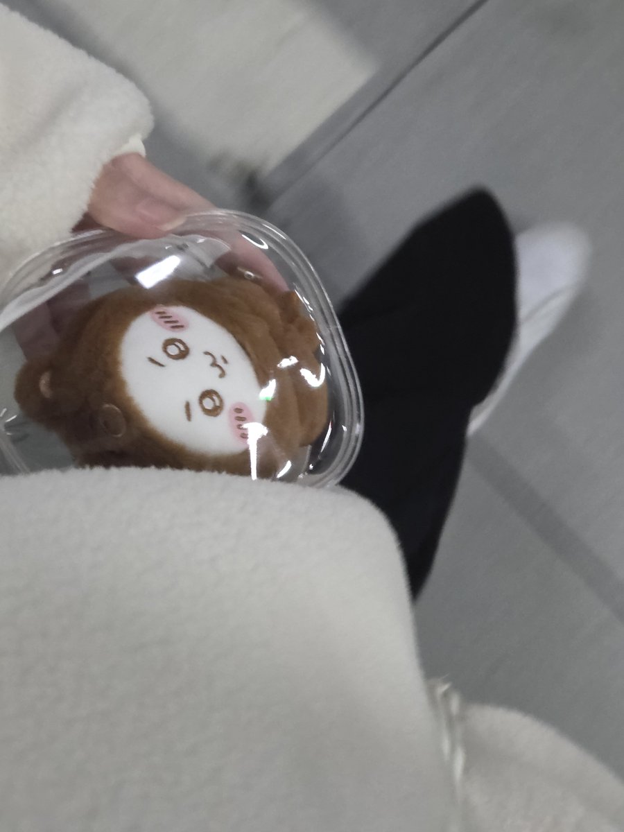 chiicryonion's tweet photo. 오늘의 외출메이트 곰돌햄찌
사유 : 넘 츄움 https://t.co/Km8FmcFYeK