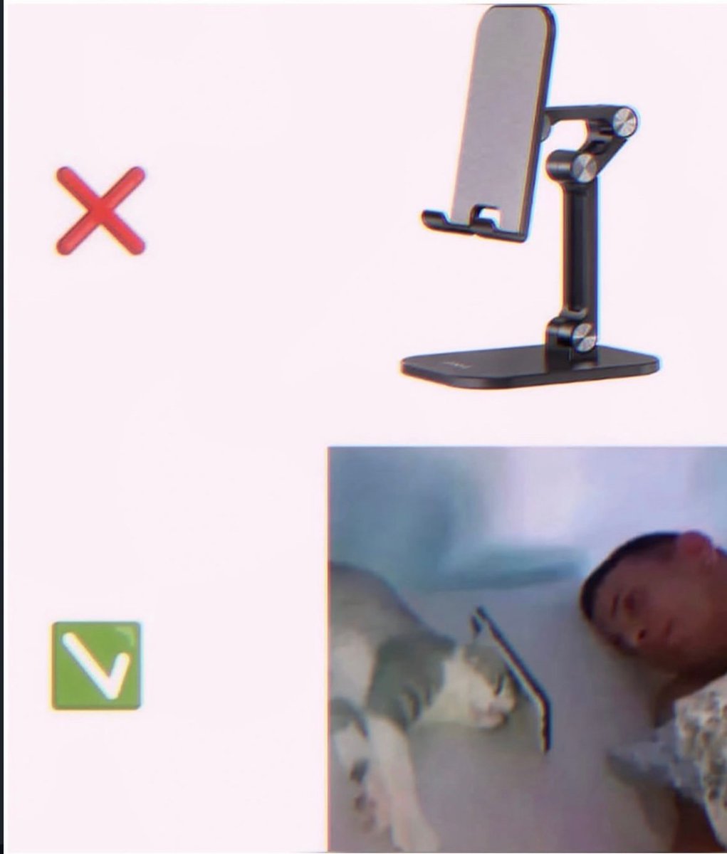 100memesaday's tweet photo. https://t.co/eJLAvS61jL