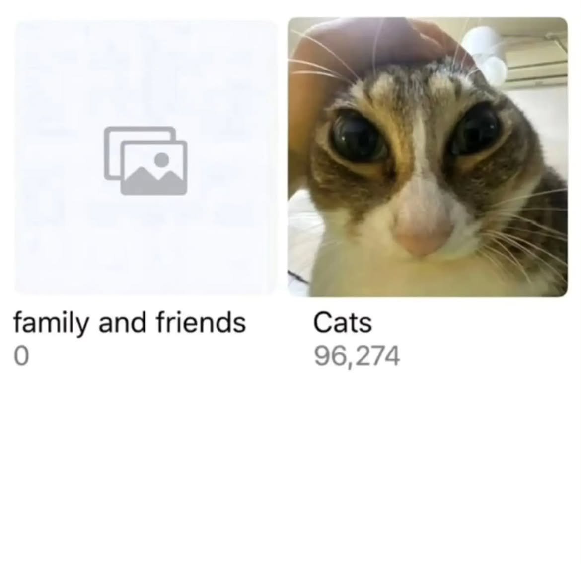 100memesaday's tweet photo. https://t.co/AZu1XAtRKT