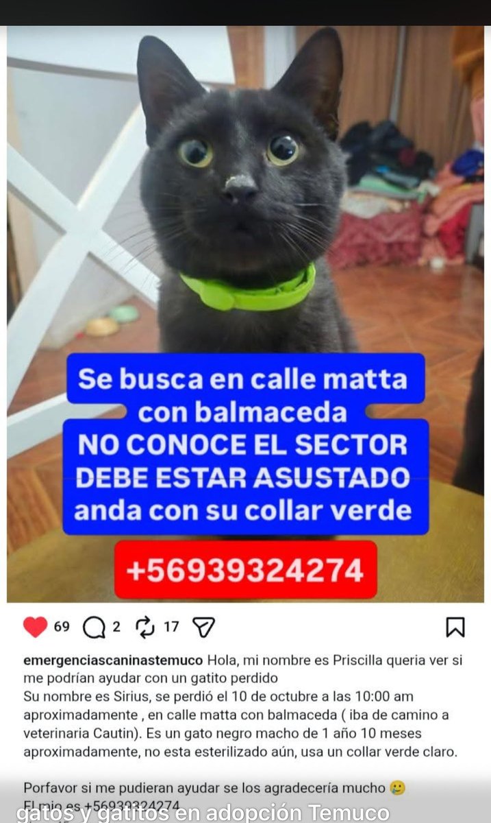 Elizabeth_n_n's tweet photo. Se busca #Temuco #Araucania https://t.co/wDL1pLx35Z