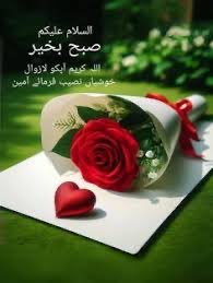 azeembhatti132's tweet photo. @TThrya56210 https://t.co/KxYhy8ToXz