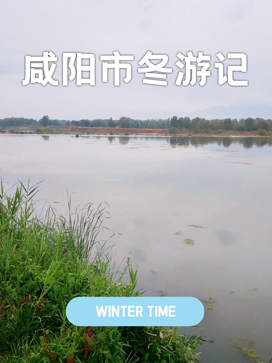 CoraWaltonyi's tweet photo. 強くネオンを浴びながら、渭の流れに敢然と立ち向かう https://t.co/vzrXfFSh0r