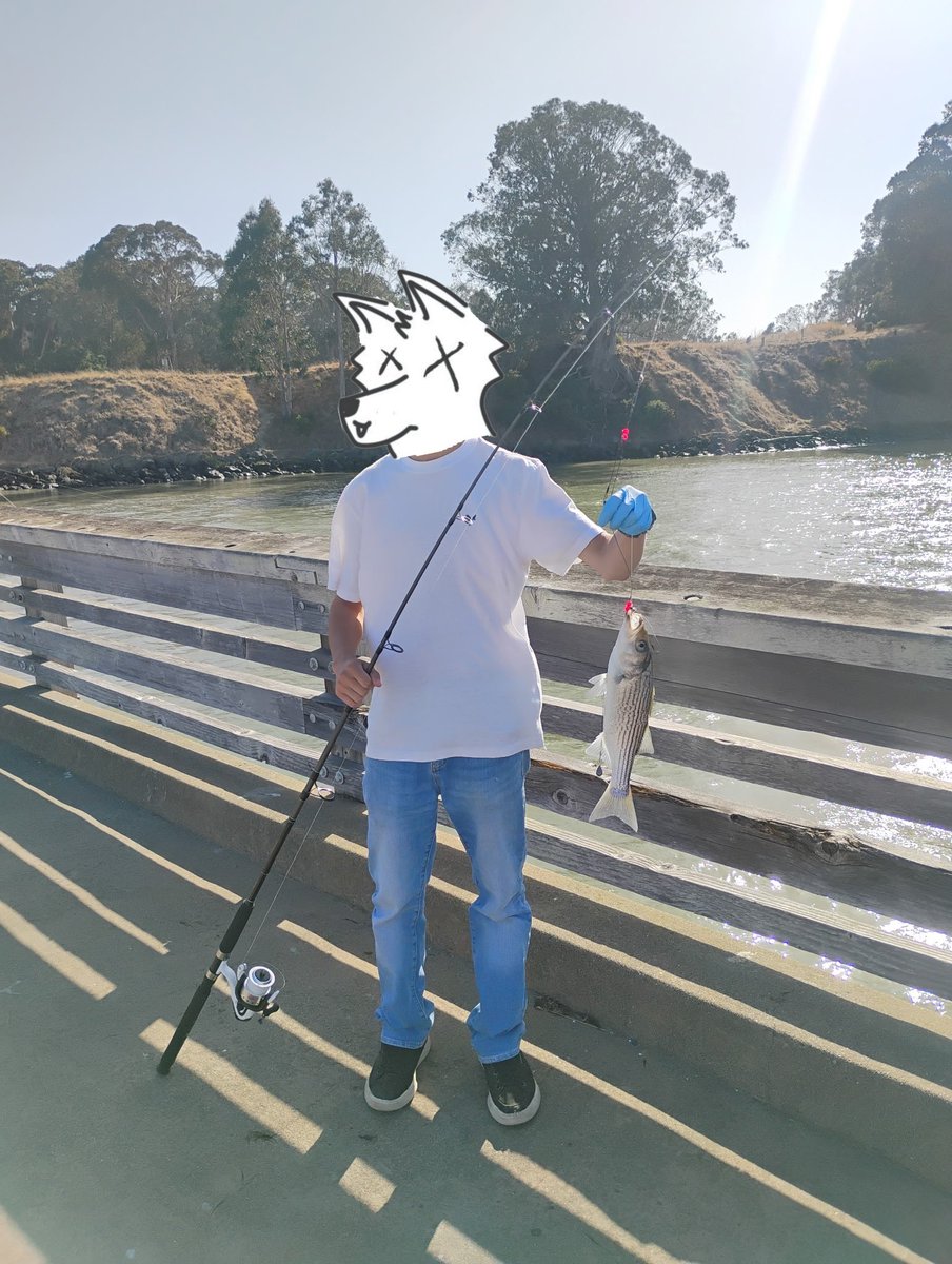 Max585449895175's tweet photo. Went fishing and cought  striped bass and crabs https://t.co/aZpKop5uAZ