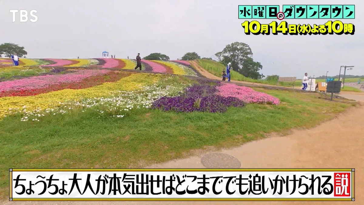 ギャラクシー 賞 水曜日 の ダウンタウン