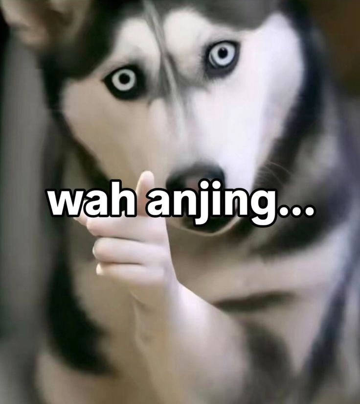 SHINYUglees's tweet photo. @SUNGCHANglees https://t.co/YY4fN0DMcE