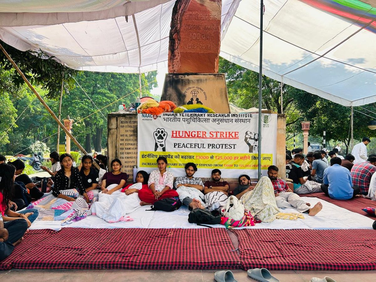 swarnankasilent's tweet photo. Hunger strike day 2
Peaceful protest day 10
Still waiting for justice &amp; respectful stipend
@icarindia @ChouhanShivraj @OfficeofSSC @AgriGoI @PMOIndia
@IEhindi @ndtvindia @LalanSingh_1 https://t.co/xrqHUiCHge