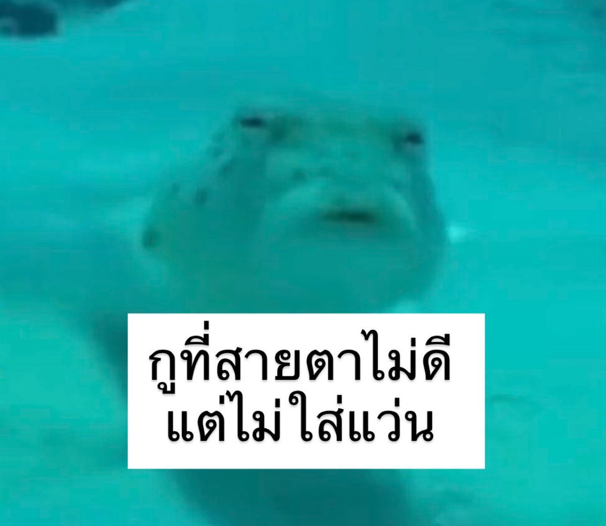sfkkfs_'s tweet photo. ความจริง 555555555555555555 https://t.co/jJIpvmcVfu