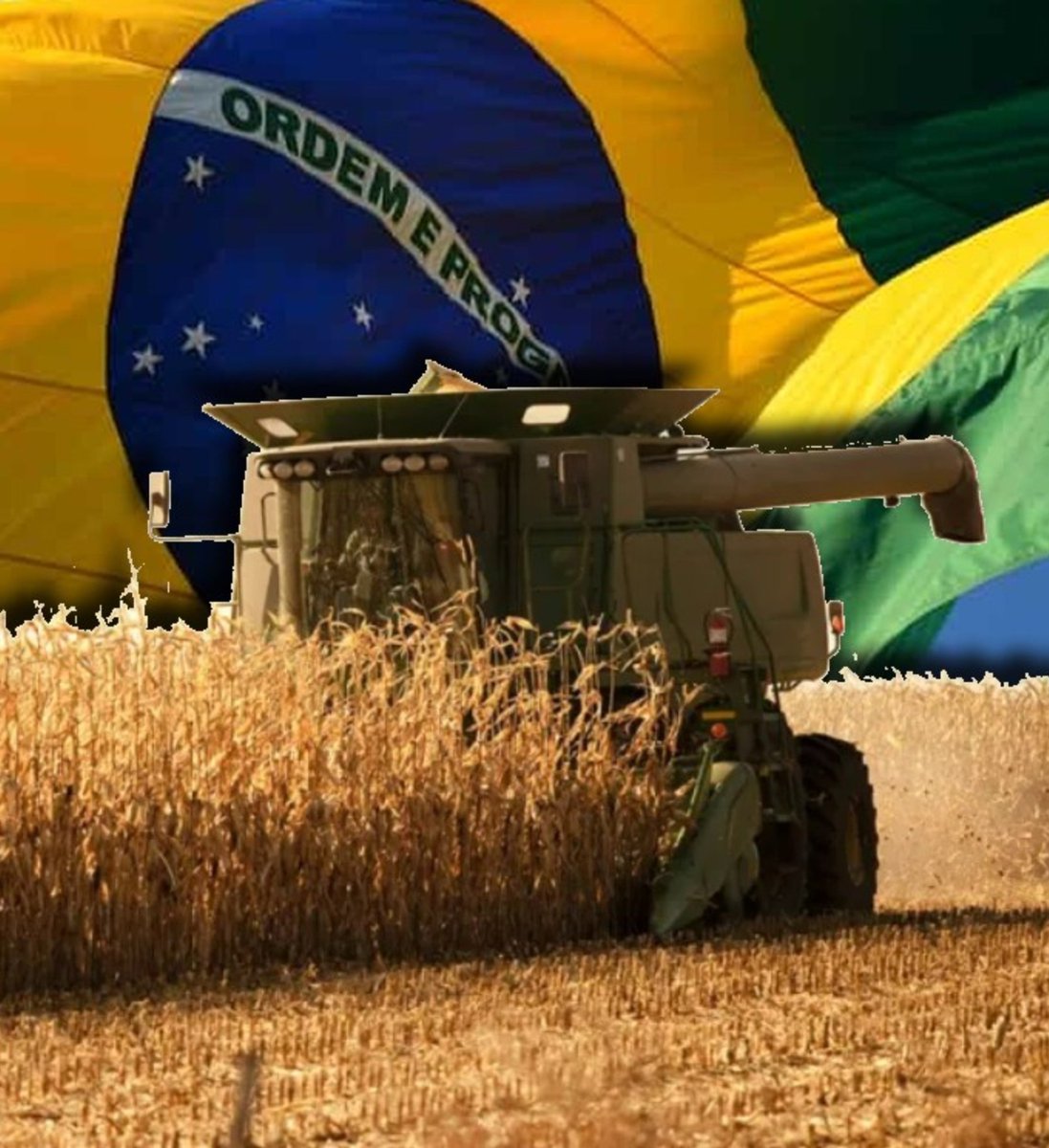 NP__Oficial's tweet photo. 🚨 BREAKING NEWS l Brasil empata com os Estados Unidos no posto de maior superpotência agrícola do mundo.

É a primeira vez, em um século, que um país alcança a hegemonia norte-americana no setor. Projeção do Financial Times aponta que o Brasil deve ser tornar a maior superpotência agrícola global dentro de semanas.

Maior abertura do mercado da China e da Europa para o Brasil aceleraram a subida. Regiões Centro-Oeste e Sudeste do Brasil são as mais beneficiadas.

@reporterenato