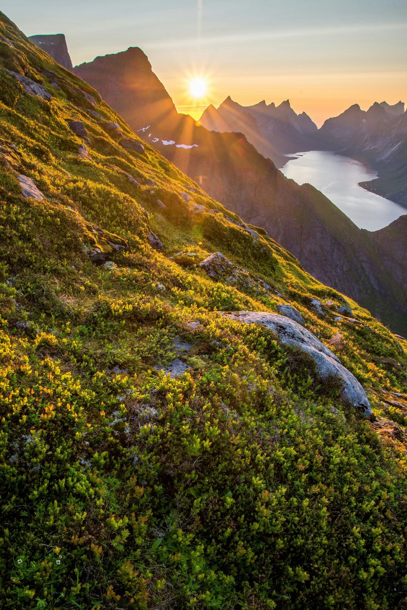 Nature_Beauty11's tweet photo. Sunrise https://t.co/3zUcPCo7VJ