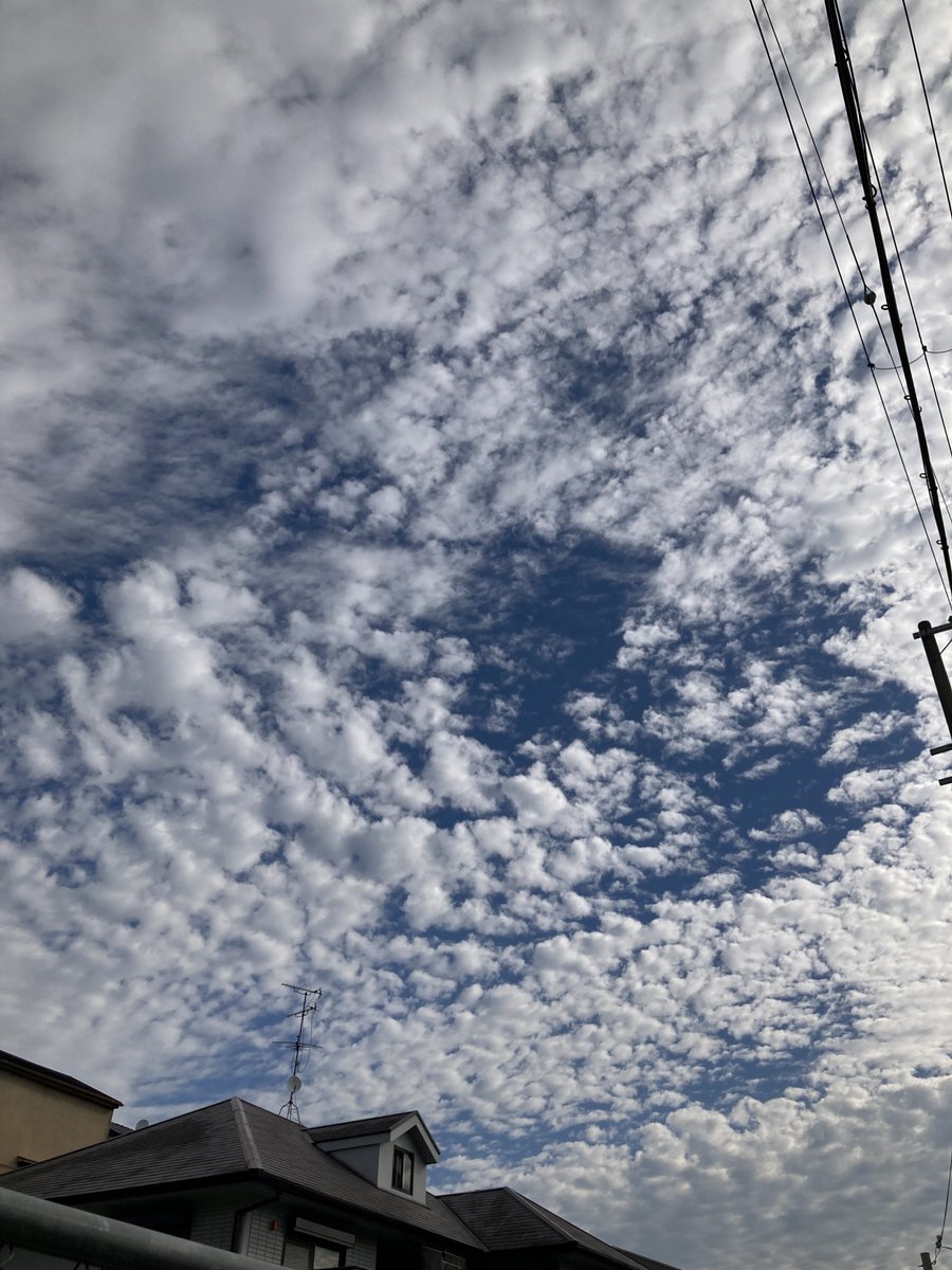 CORALFUKUROU's tweet photo. こんにちは！
とっても爽やかな気持ちのいい秋晴れ!!
ふと空を見上げると、空いっぱいに広がる
フワフワもこもこ‼️
ひつじ雲でしょうか？！
綿菓子をならべてるみたいで可愛い😀
癒されます!!        職員かずぶぅ
#就労継続支援B　＃雲 https://t.co/wjLKpx9XA8