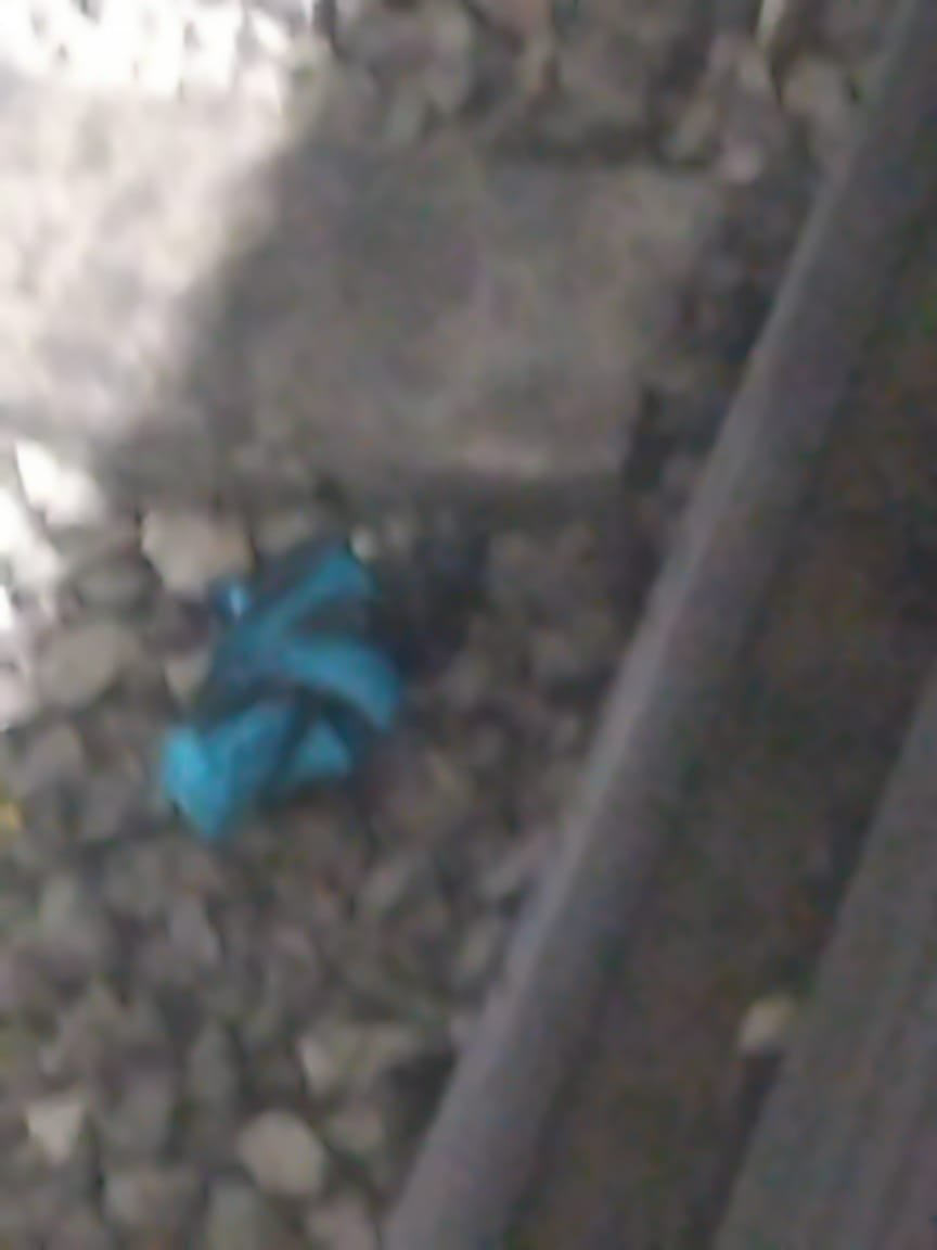 AdrianRubalcava's tweet photo. Esta tarde, en la estación Salto del Agua de la Línea 1 del @MetroCDMX, personal de Transportación realizó un corte de energía para retirar una sombrilla que cayó a la zona de vías, en dirección a Pantitlán.

Tras concluir las maniobras, de manera paulatina se normaliza la circulación de los trenes.

Les pedimos resguardar sus pertenencias y respetar la línea de seguridad. La caída de objetos a las vías puede provocar cortocircuitos y generar demoras en el servicio.
