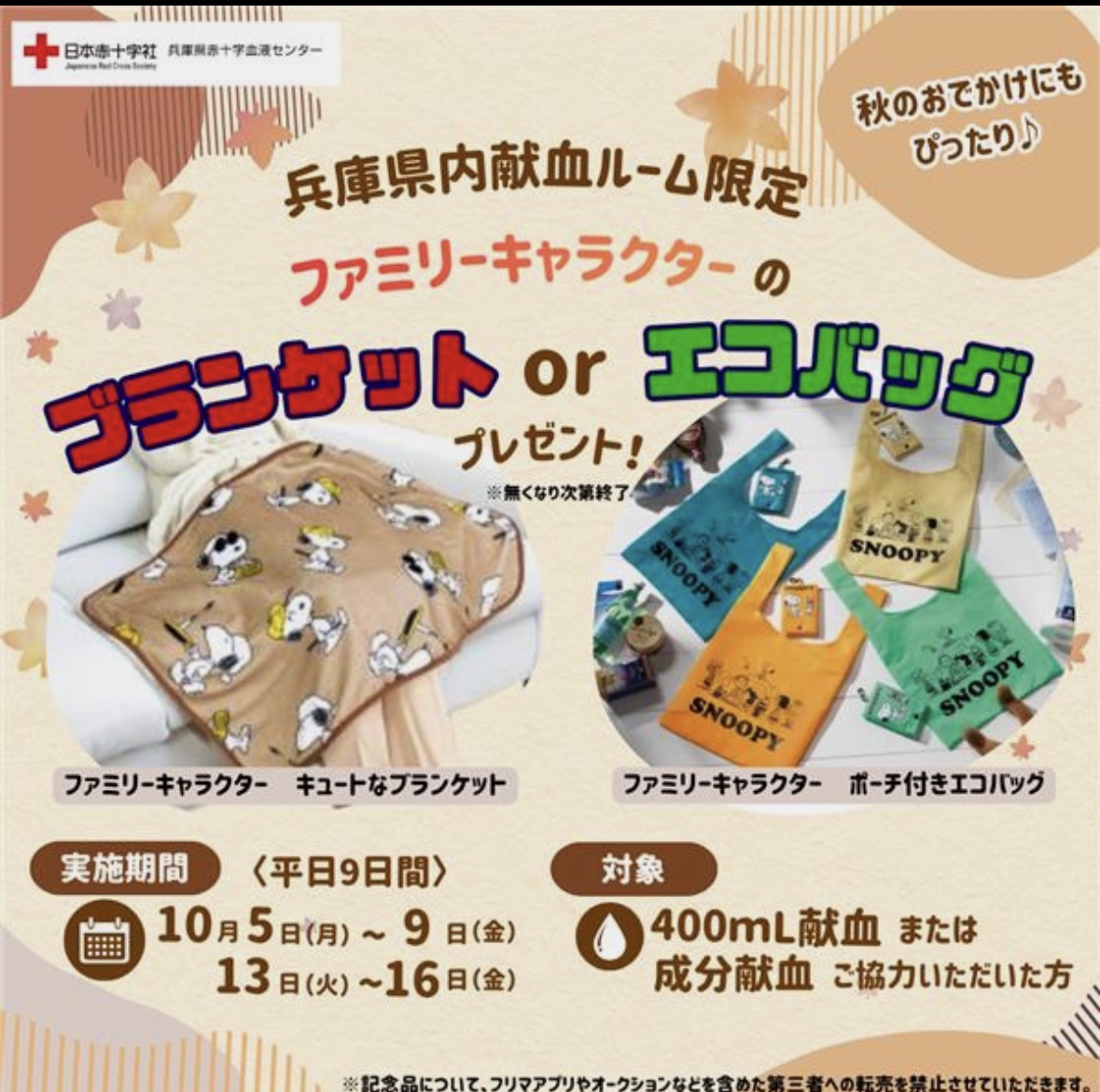 kenketsu_sansan's tweet photo. 📣＼今、あなたのご協力が必要です‼️／

最近のオシャレなルームとは一味違い、昭和な雰囲気が漂う塚口ルームです。

✅予約無しでも🆗
✅ ラブラッドから1時間前まで予約🉑
✅電話予約も🉑　0120-429-141

本日も　＃400mL献血　＃成分献血　共にご協力を必要としております💕
お待ちしてます😊 https://t.co/wBU6Gh1ch0