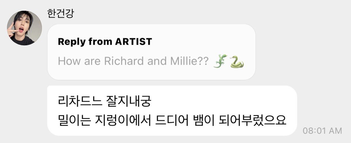 spearhyunnie2's tweet photo. jisung on 💭

💬: how are richard and mille? 
🐿: jisung is doing well and mille has finally turned from a worm to a snake https://t.co/0wZiP9Hgqv