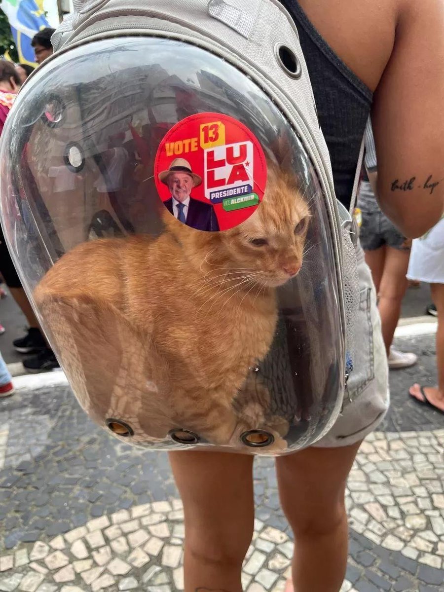 JoaquinEterno's tweet photo. Alô Luisa Mell! 
Isso aqui não é MAUS TRATOS? https://t.co/qcNe45Nx5l