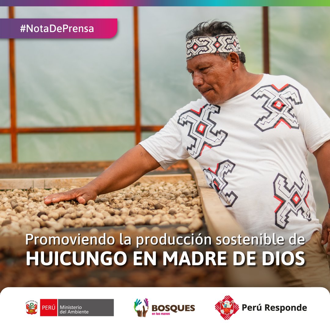 ProgramaBosques's tweet photo. 🌱¡En Tipishka, el bosque en pie genera nuevas oportunidades!

En Madre de Dios, la comunidad nativa Tipishka inauguró su planta de procesamiento de huicungo, un fruto amazónico con creciente demanda en la industria cosmética.

➡️Conoce más: https://t.co/Bh4eK8Z80k https://t.co/zCI4pM6xJ1