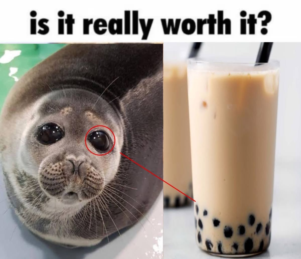 EmployeeLihua's tweet photo. @swan_kihong reminds me of this! ^^ https://t.co/H3wM7fKVuy