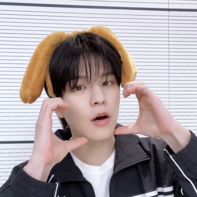 seungmnbias's tweet photo. The Puppy Just Got Even Puppy-er

🌼rated e
🌼🐶/everyone, 0t8 poly
🌼🐶wakes up as a puppy hybrid 
🌼13.9k
🌼written for @/skzhybridfest!

https://t.co/R4ei6tlslY https://t.co/7gpOEZH5ri
