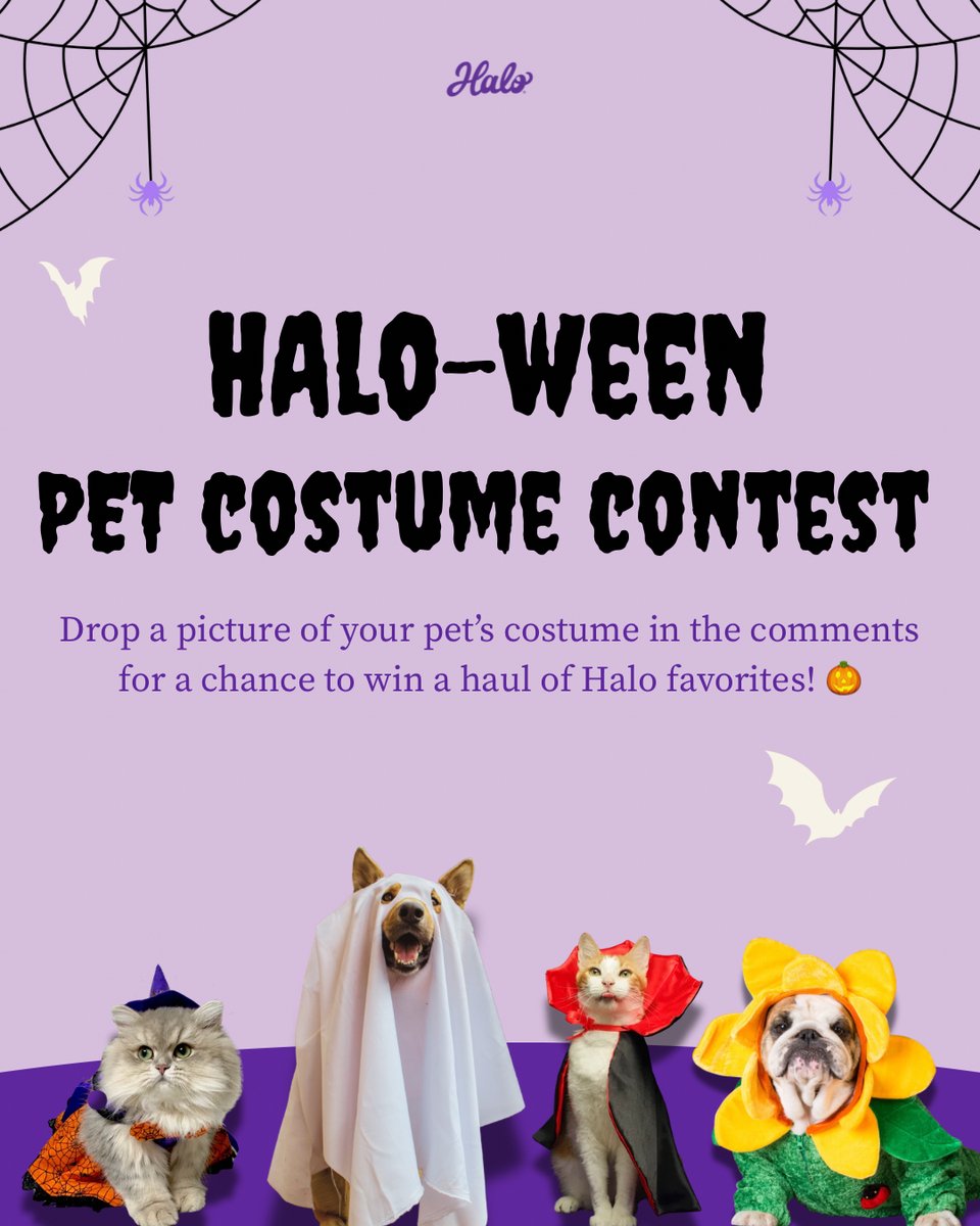 halopets's tweet photo. calling all pet parents! our halo-ween pet costume contest is officially on! 🎃 

head over to instagram and drop your pet’s costume pic in comments for a chance to win a haul of halo favorites. winners announced on halloween, 10/31. 👻 https://t.co/6O7ylXnlk5