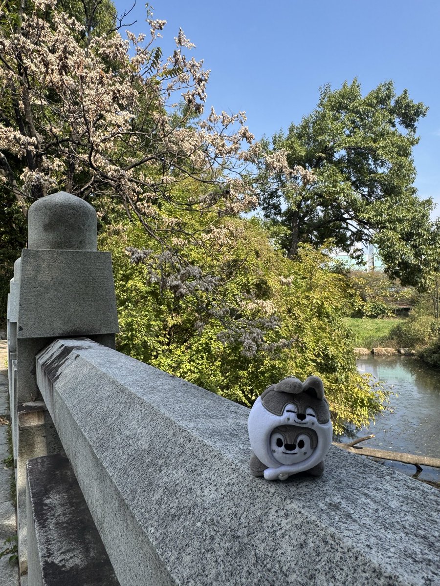 sy498's tweet photo. 3日目🇰🇷
聖地巡り
3万歩歩いた https://t.co/E7yj6m6PYw