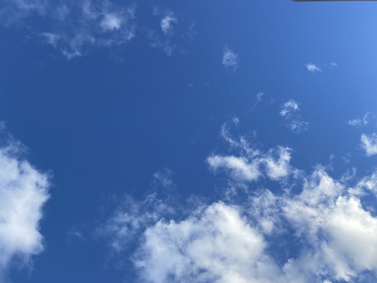 marumarurunning's tweet photo. 144日目🌤

楽ジョグ🏃

秋晴れが続いて気持ちいい!

今日も楽しくがんばろ!

 #ランニング記録  #朝ラン  #健康資産 https://t.co/tu0goO0RSj
