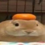 Photo by aren 🪷 ݁ ˖ (@flutterbaty)
