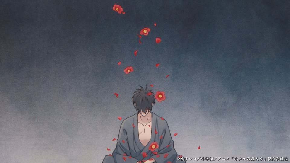 hotaru_anime_pr's tweet photo. ノンクレジットエンディング
　　　  場面写真公開
❁.*・┈┈┈┈┈┈┈┈・*.❁

TVアニメ「#ホタルの嫁入り」
ノンクレジットEDの場面写真を公開

♬ #TOOBOE「夢心地」
✼ https://t.co/Vq2e5d5S94

是非、何度でもお聞きください𓂃 .˖*
#ホタ嫁 https://t.co/kSDvG8LnvD