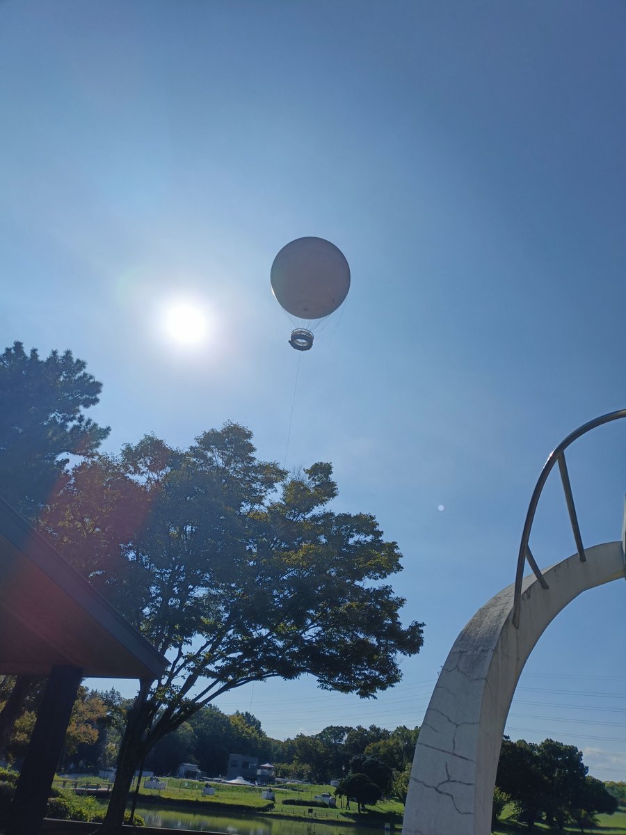 vaasan889's tweet photo. 朝からウォーキング
今日も飛ばしてるねぇ！ https://t.co/ztNd7t7Py0