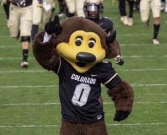 theeplaymakerkb's tweet photo. #AGTG I thank Jesus Christ for blessing me with an offer from the University of Colorado Boulder!

@4Jmack @RecruitEastside @NSNationFB @Marchen44 @coach_pat84 @dctf @CoachJosephNSSH https://t.co/CaB6CkCUTf