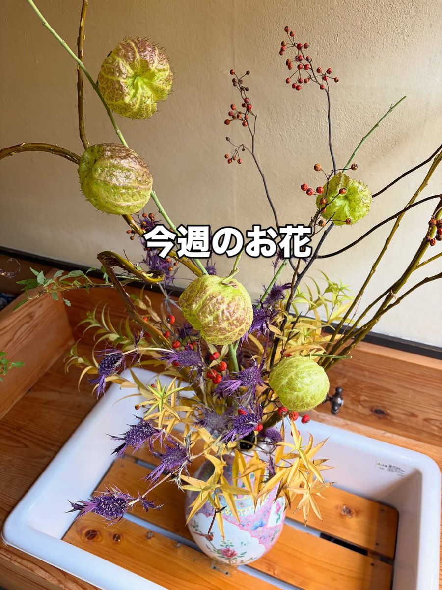 bor_de_aux's tweet photo. 皆さん、連休はいかがでしたか？
また、教えて下さいね。
本日も17:00より営業しております。
今日も小腹を満たせるお料理、ご用意しております。
ノンケミカルおでんも具材は色々とありますよ🍢
ハムやオリーブ、チーズ等も盛り合わせ、
組み合わせ可能ですので、ご用意させていただきます。
#昶 https://t.co/ijNM8Egayg