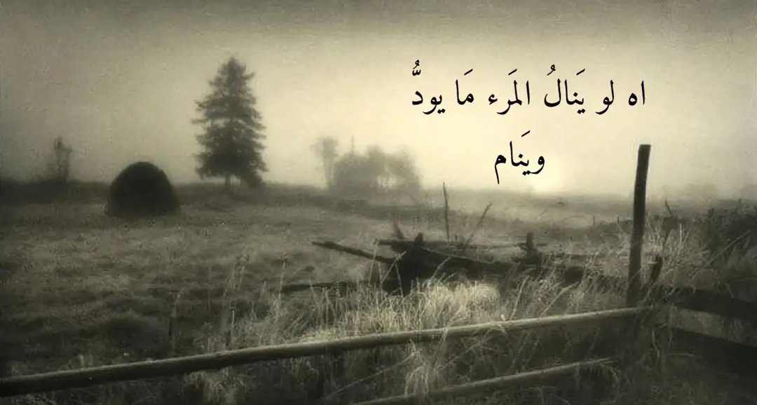 raghda__amer's tweet photo. وكيف ينام الإنسان بعدما ينال مايود؟ https://t.co/95CtJsEsdr