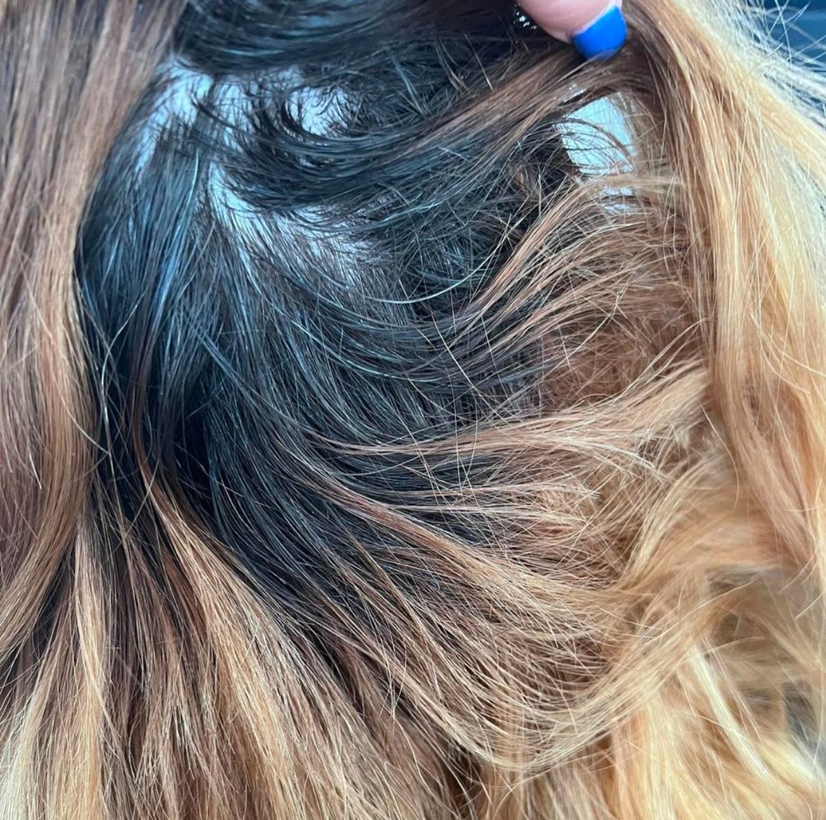 DoOleo's tweet photo. Colour correction to remove old brassy tones and banding, creating a gorgeous warm brunette. Our skilled stylists can assess your hair and recommend the best techniques to achieve your desired result. Book a free consultation by calling or https://t.co/EO7eOdvf3k