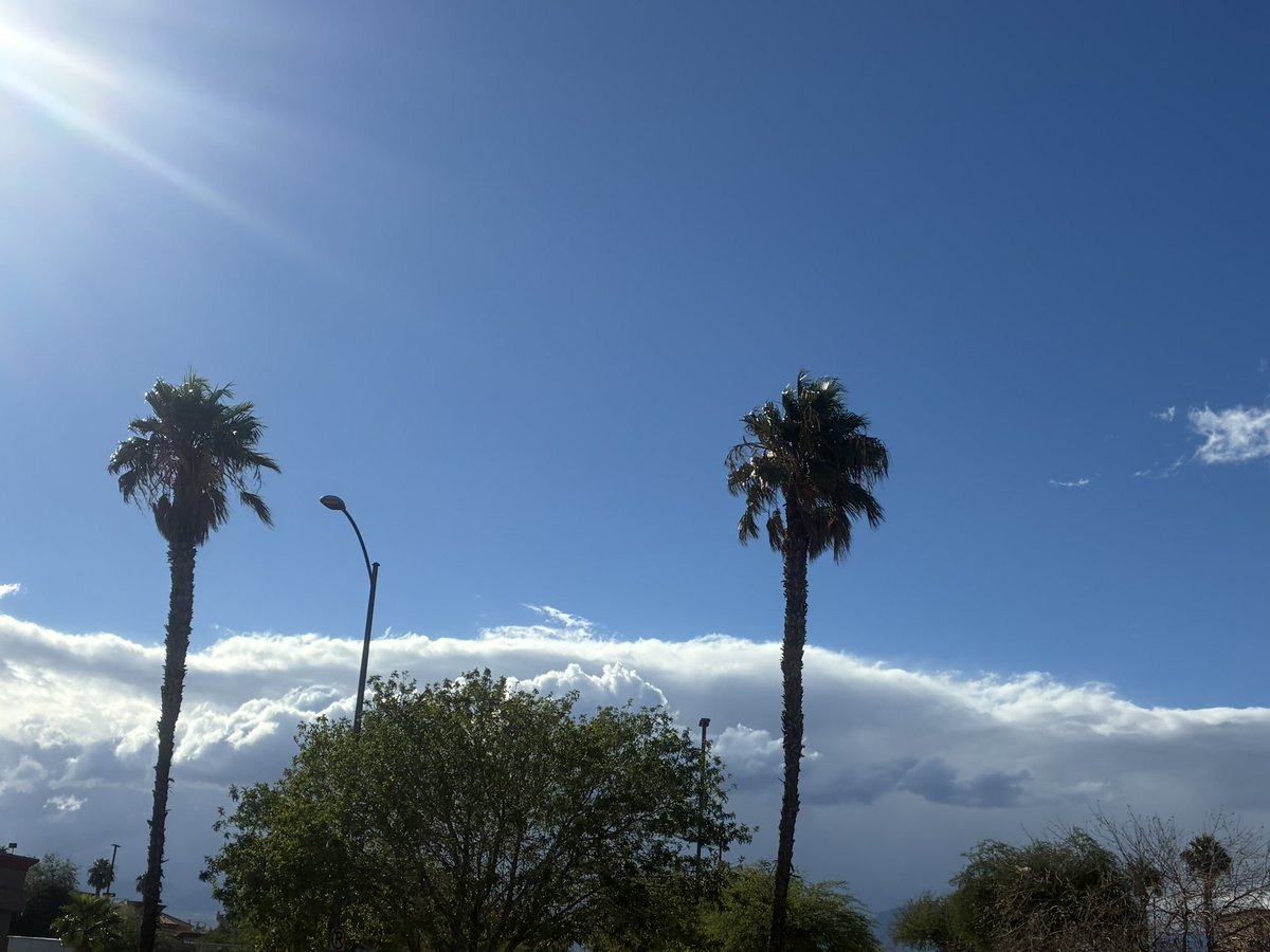 Talmyid's tweet photo. #fypシ゚viral Trees, Clouds, and Sky https://t.co/flC3654fzN