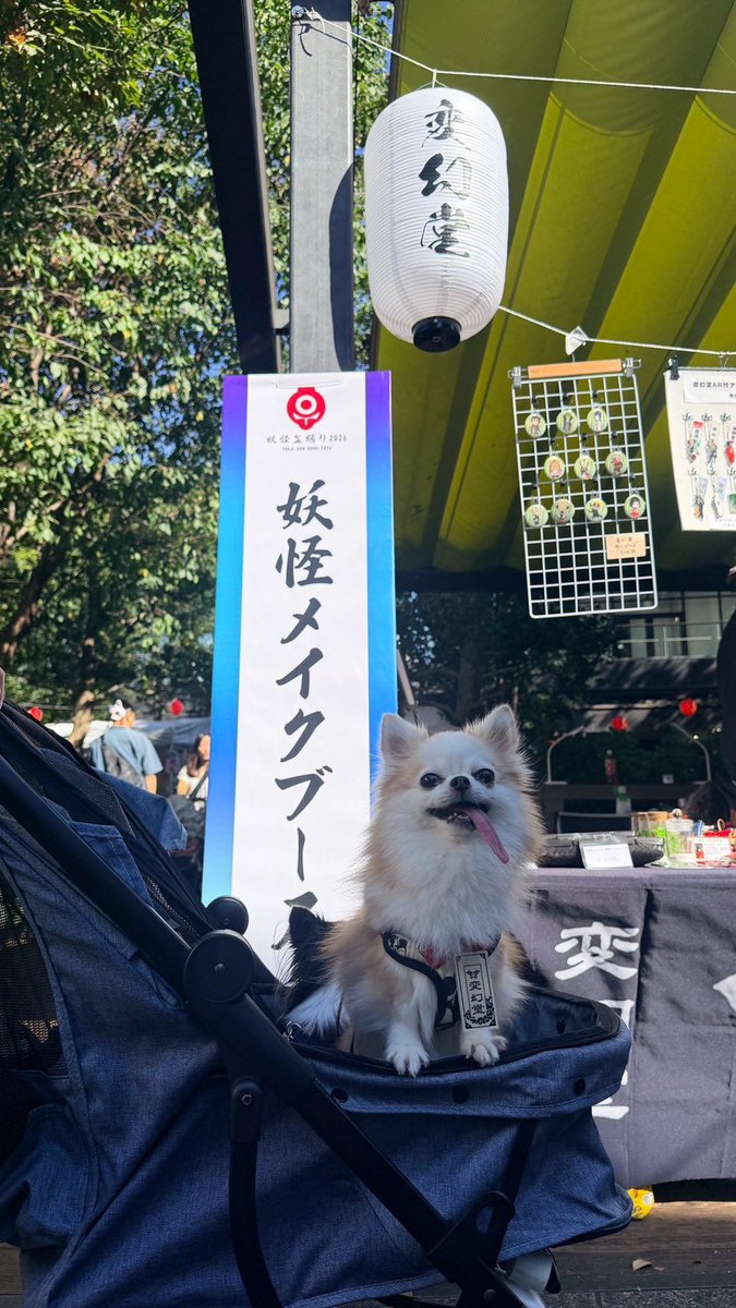 arare_hgd's tweet photo. #妖怪盆踊り2026 今年もたくさんのお客様に変幻堂メイクブースにお越しいただき、ありがとうございました！可愛いかっこいい美しい妖怪仲間がたくさん増えました✨
そして㊗️オリさんの鬼婆がコンテストで優勝❗️いそがしは中沢賞、しろまるはパフォーマンス賞と本当に嬉しいです✨主催の皆様、毎年楽しいイベントをありがとうございます☺️
今年はついにふふふちゃんさんにもお会いする事ができました💓
変幻堂の妖怪わんわんもよろしくね！

いそがしのけっけさん（@Kg_12501 ）