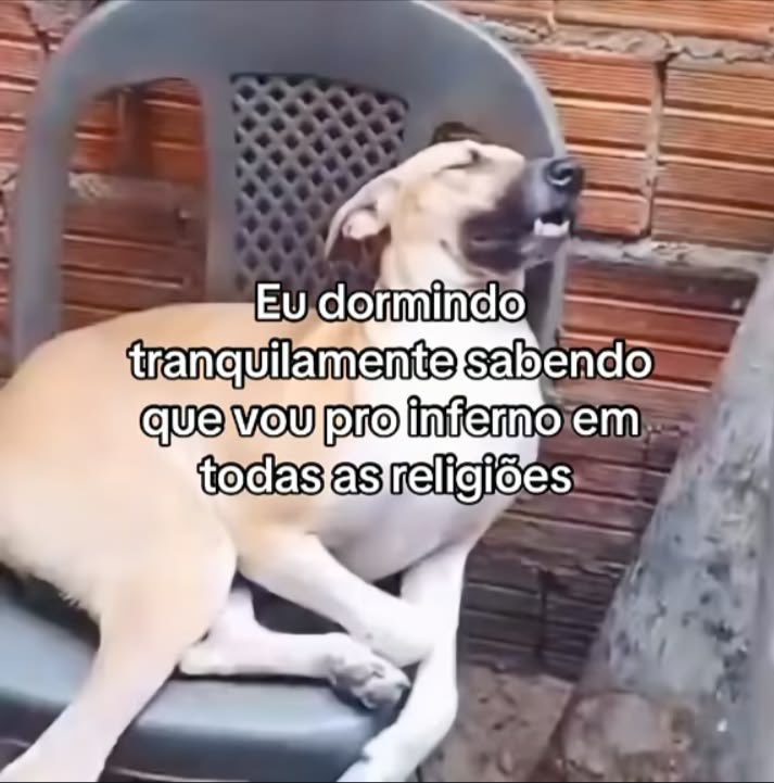 shitpostverdade's tweet photo. https://t.co/8lD5b8Tgdg